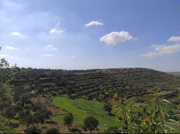  | موسوعة القرى الفلسطينية