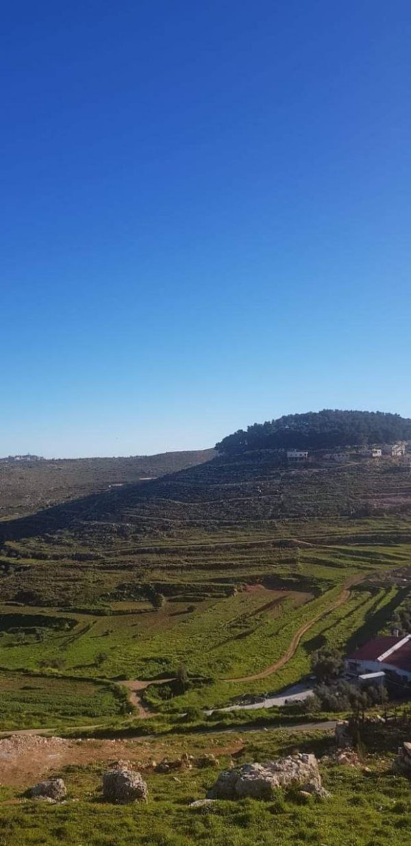  | موسوعة القرى الفلسطينية