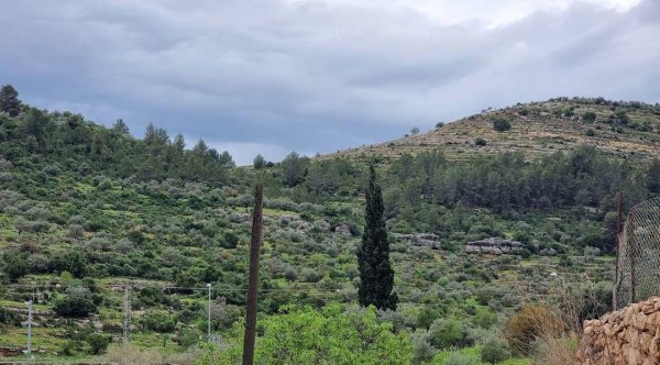  | موسوعة القرى الفلسطينية