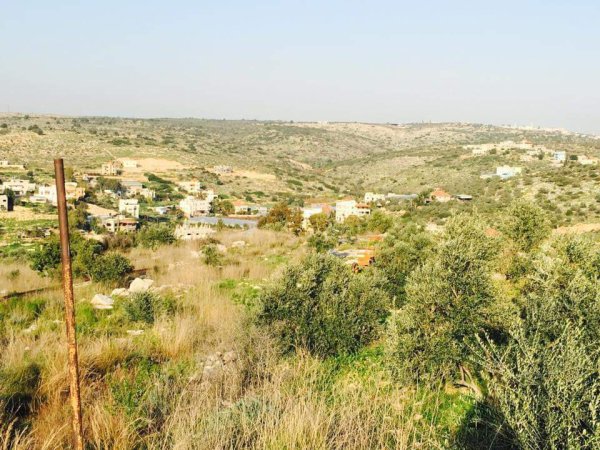  | موسوعة القرى الفلسطينية