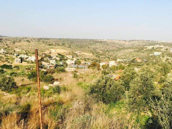  | موسوعة القرى الفلسطينية