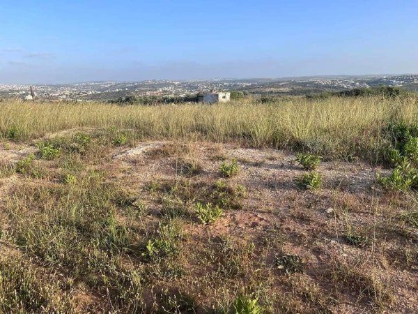 صور من عزبة جلعود جنوب شرقي مدينة قلقيلية