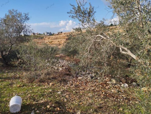 صور من عزبة جلعود جنوب شرقي مدينة قلقيلية