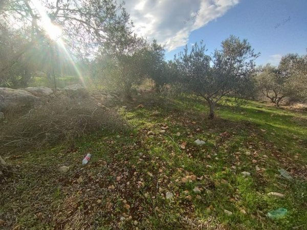 صور من عزبة جلعود جنوب شرقي مدينة قلقيلية