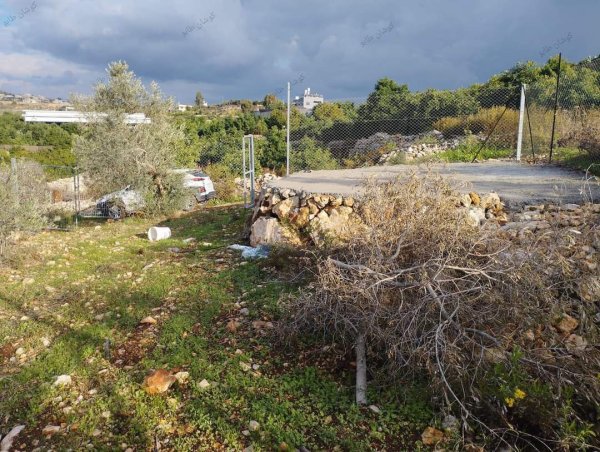 صور من عزبة جلعود جنوب شرقي مدينة قلقيلية