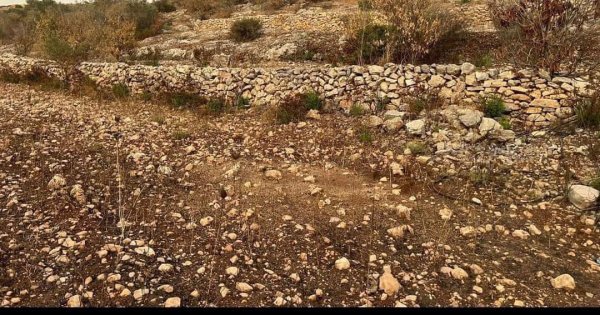 صور من عزبة جلعود جنوب شرقي مدينة قلقيلية