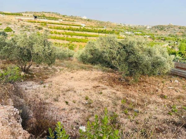 صور من عزبة جلعود جنوب شرقي مدينة قلقيلية