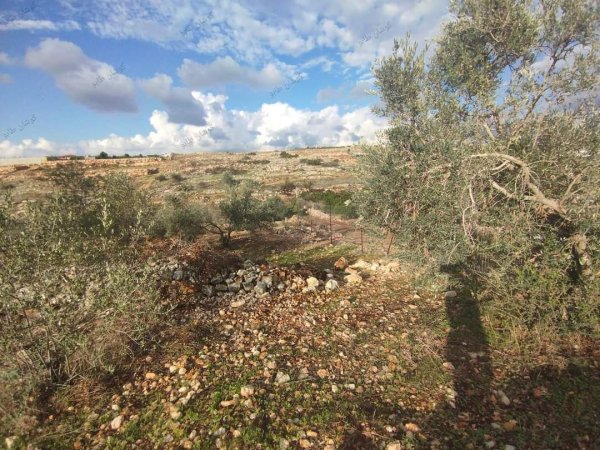 صور من عزبة جلعود جنوب شرقي مدينة قلقيلية