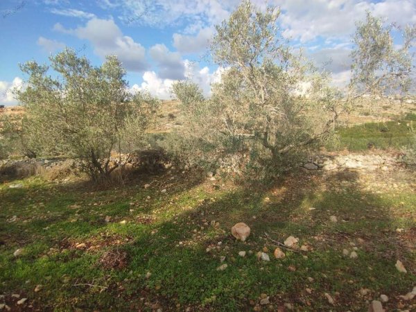 صور من عزبة جلعود جنوب شرقي مدينة قلقيلية