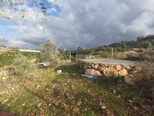 صور من عزبة جلعود جنوب شرقي مدينة قلقيلية