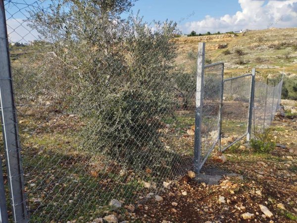 صور من عزبة جلعود جنوب شرقي مدينة قلقيلية