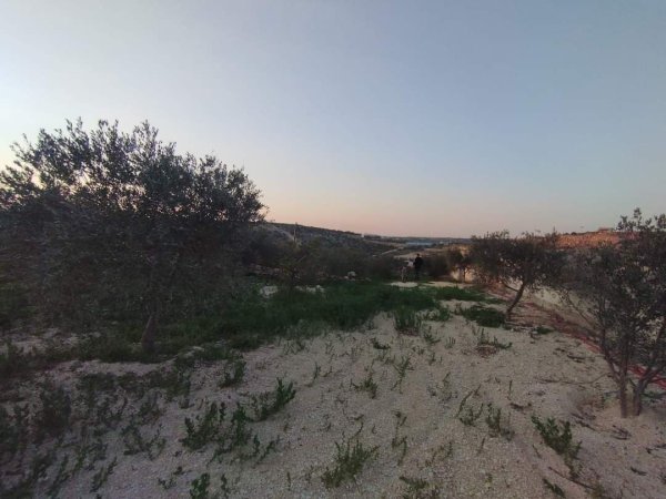 صور لقرية عزبة الأشقر جنوب شرقي قلقيلية