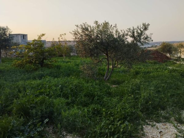 صور لقرية عزبة الأشقر جنوب شرقي قلقيلية