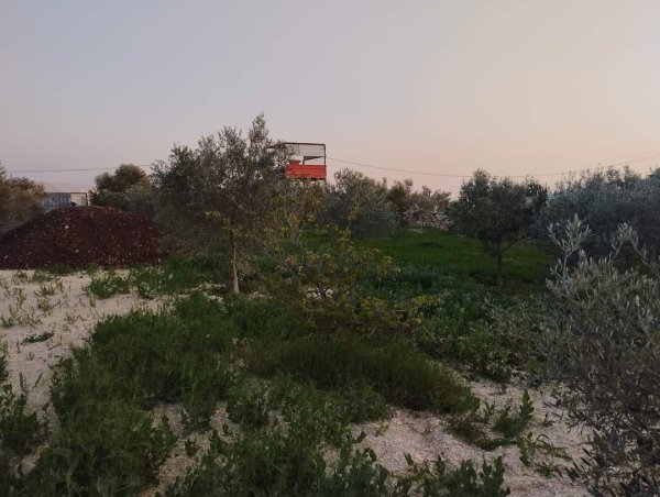 صور لقرية عزبة الأشقر جنوب شرقي قلقيلية