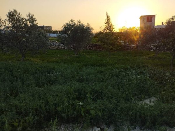 صور لقرية عزبة الأشقر جنوب شرقي قلقيلية