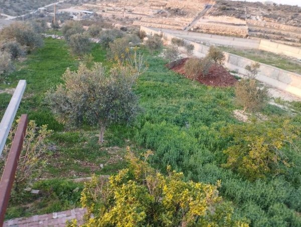 صور لقرية عزبة الأشقر جنوب شرقي قلقيلية