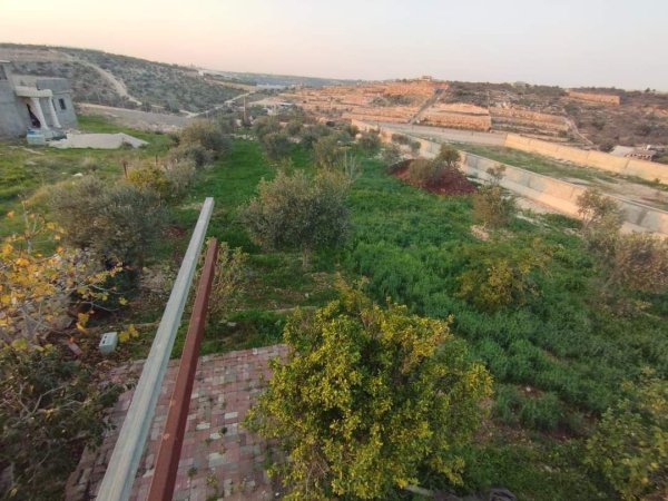 صور لقرية عزبة الأشقر جنوب شرقي قلقيلية