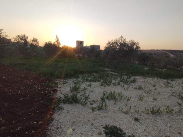 صور لقرية عزبة الأشقر جنوب شرقي قلقيلية