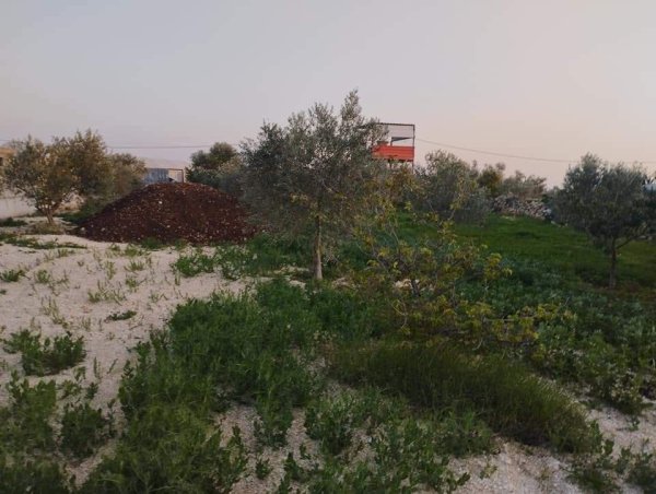 صور لقرية عزبة الأشقر جنوب شرقي قلقيلية