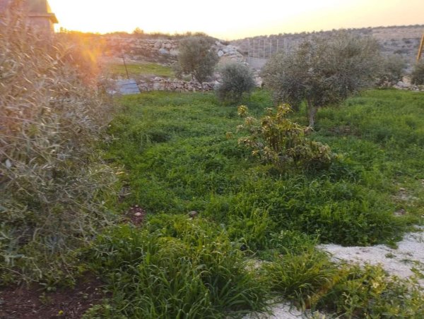 صور لقرية عزبة الأشقر جنوب شرقي قلقيلية