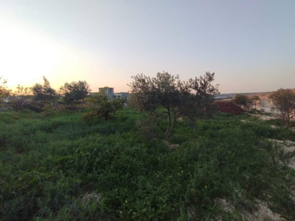 صور لقرية عزبة الأشقر جنوب شرقي قلقيلية