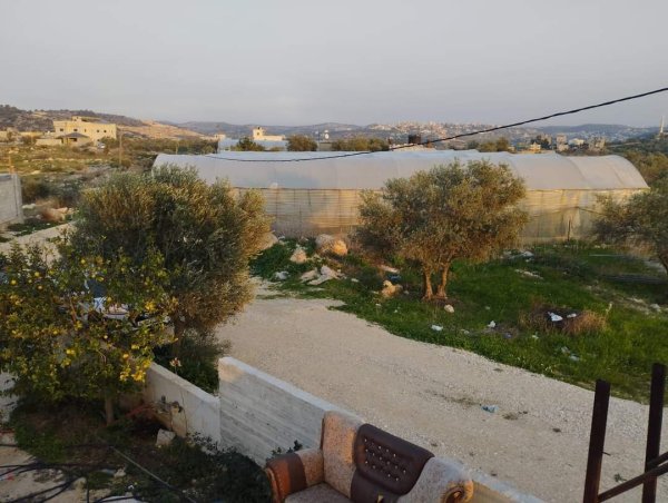 صور لقرية عزبة الأشقر جنوب شرقي قلقيلية