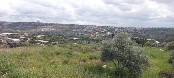 صور بلده بيت امين من عزبه الاشقر تصوير مصعب يحيى