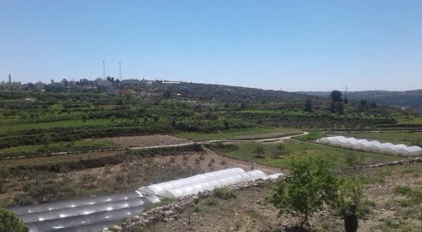  | موسوعة القرى الفلسطينية