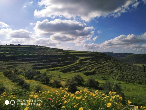  | موسوعة القرى الفلسطينية