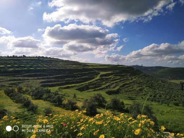  | موسوعة القرى الفلسطينية