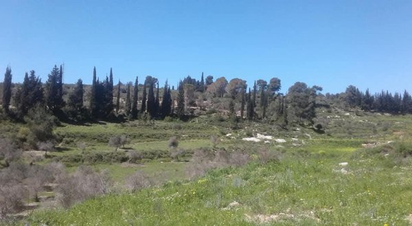  | موسوعة القرى الفلسطينية