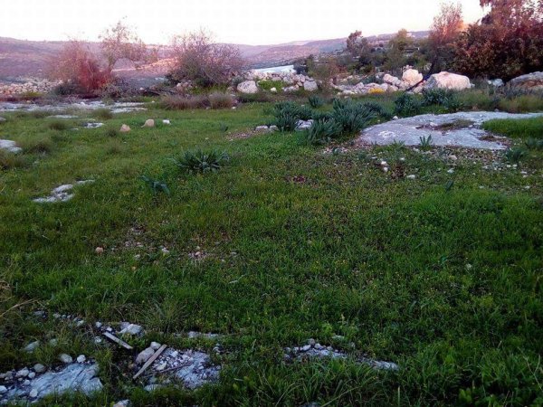  | موسوعة القرى الفلسطينية