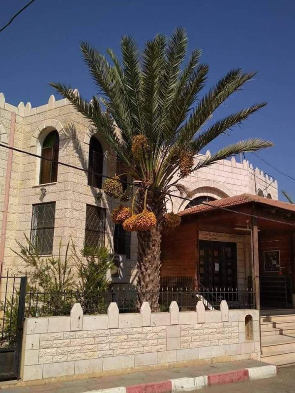  | موسوعة القرى الفلسطينية