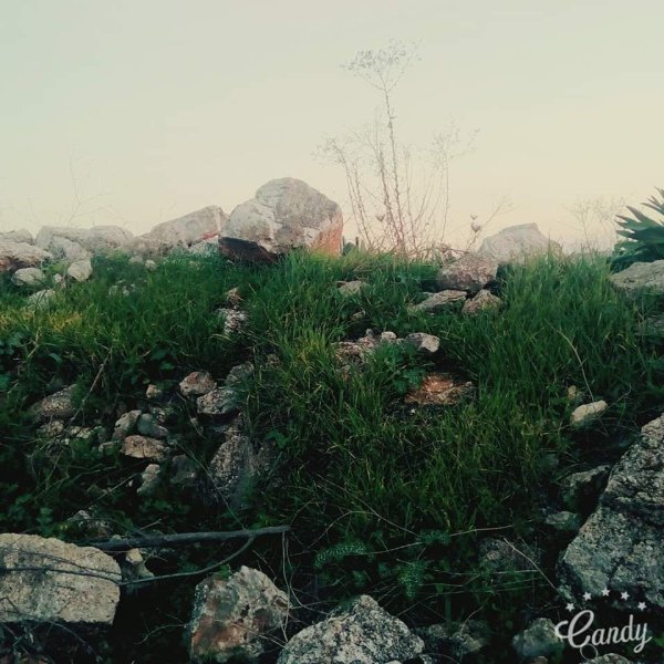  | موسوعة القرى الفلسطينية