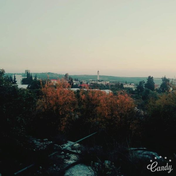  | موسوعة القرى الفلسطينية