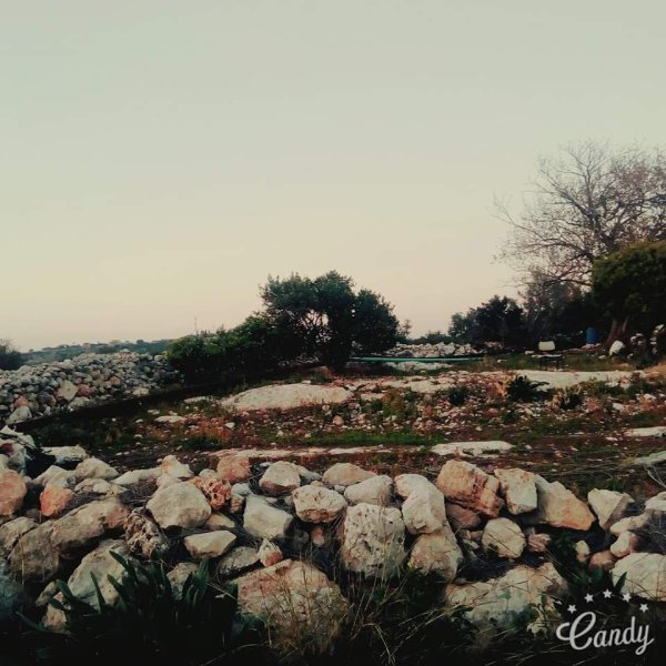  | موسوعة القرى الفلسطينية