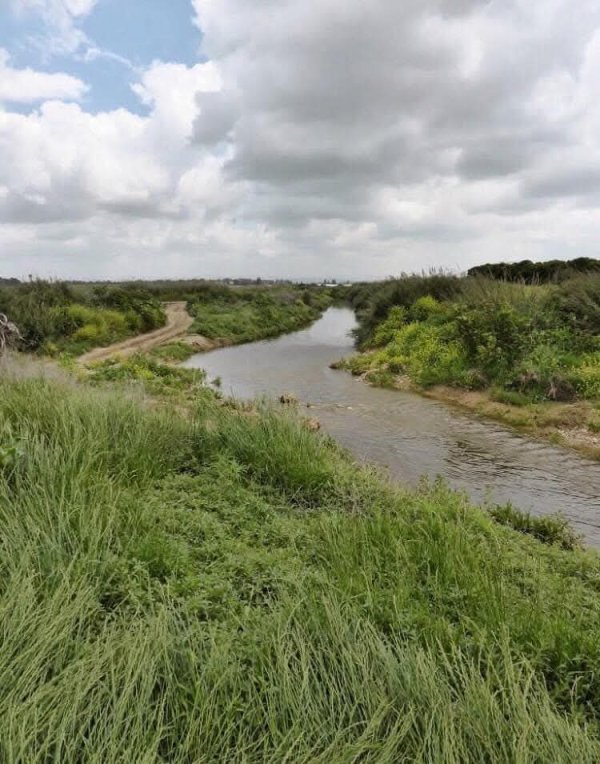 | موسوعة القرى الفلسطينية  | موسوعة القرى الفلسطينية