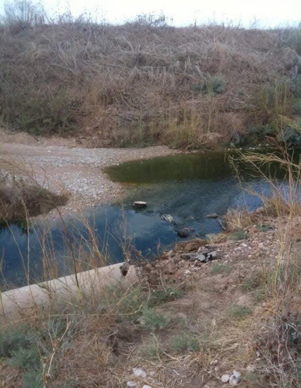 | موسوعة القرى الفلسطينية  | موسوعة القرى الفلسطينية