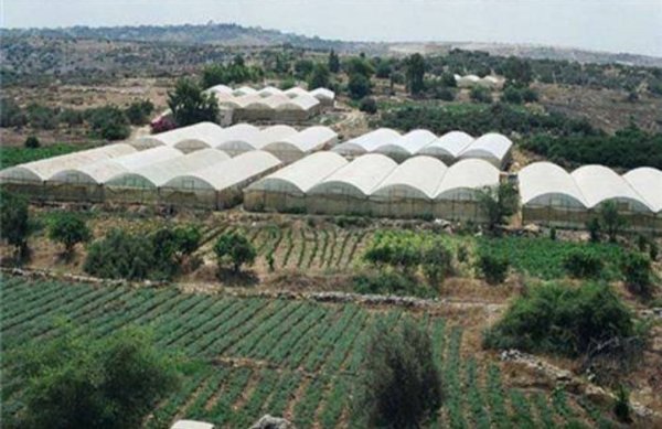  | موسوعة القرى الفلسطينية