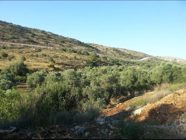  | موسوعة القرى الفلسطينية