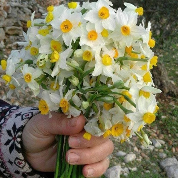 صور من قرية عزون عتمة جنوب قلقيلية، نقلاً عن صفحة أبناء البلد