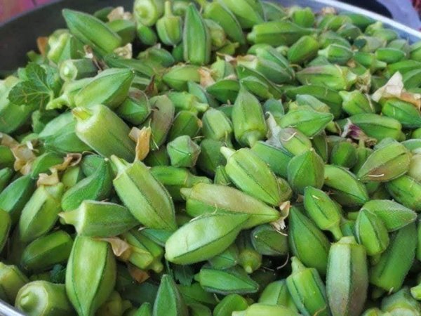 صور من قرية عزون عتمة جنوب قلقيلية، نقلاً عن صفحة أبناء البلد