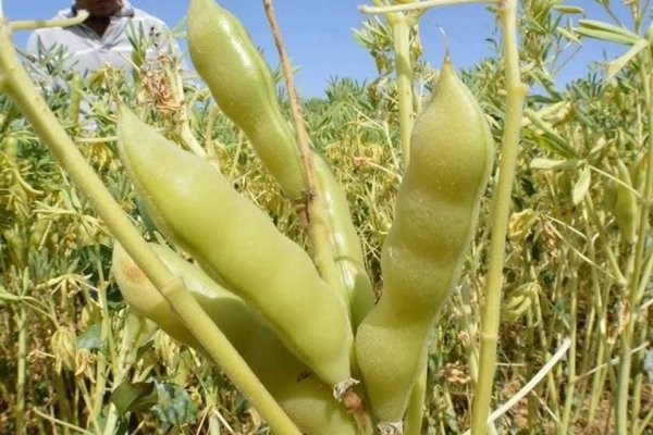 صور من قرية عزون عتمة جنوب قلقيلية، نقلاً عن صفحة أبناء البلد