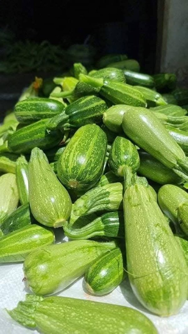 صور من قرية عزون عتمة جنوب قلقيلية، نقلاً عن صفحة أبناء البلد