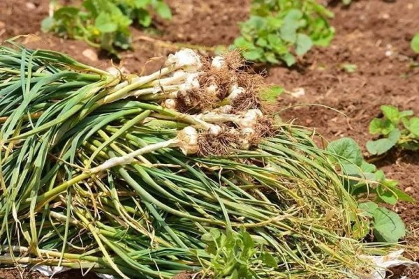 صور من قرية عزون عتمة جنوب قلقيلية، نقلاً عن صفحة أبناء البلد