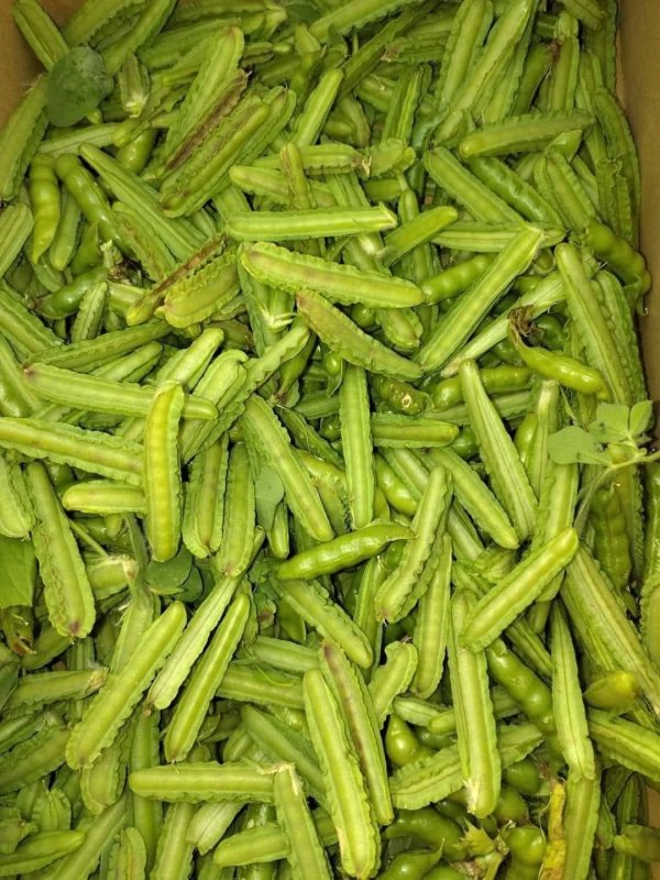 صور من قرية عزون عتمة جنوب قلقيلية، نقلاً عن صفحة أبناء البلد