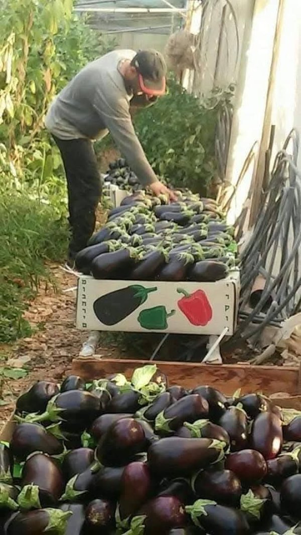 صور من قرية عزون عتمة جنوب قلقيلية، نقلاً عن صفحة أبناء البلد