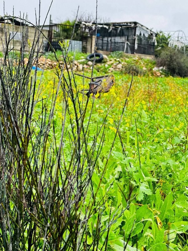  | موسوعة القرى الفلسطينية