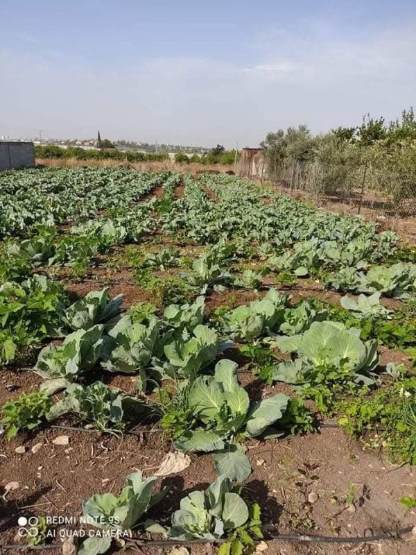 صور من قرية عزون عتمة جنوب قلقيلية، نقلاً عن صفحة أبناء البلد