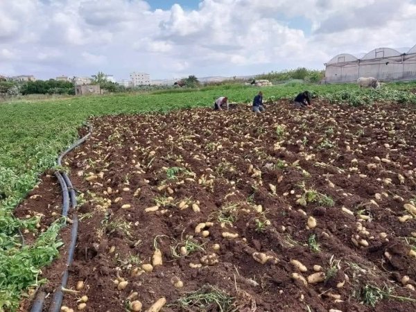 صور من قرية عزون عتمة جنوب قلقيلية، نقلاً عن صفحة أبناء البلد